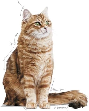 Royal Canin Fcn Feline Care Nutrition Digestive 2Kg Cat Dry Food
