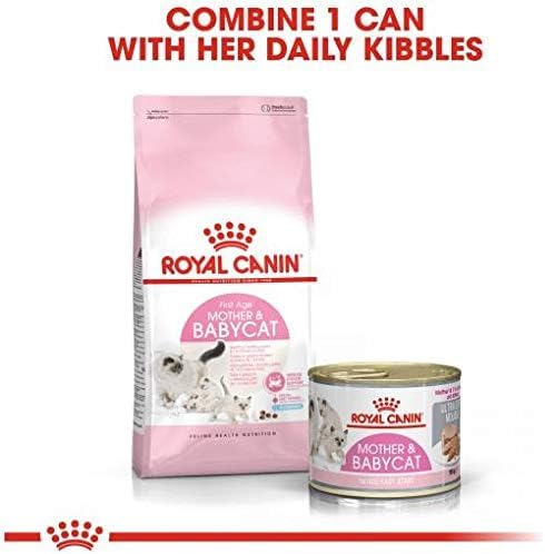 Royal Canin Mother & Babycat Wet Food 195g