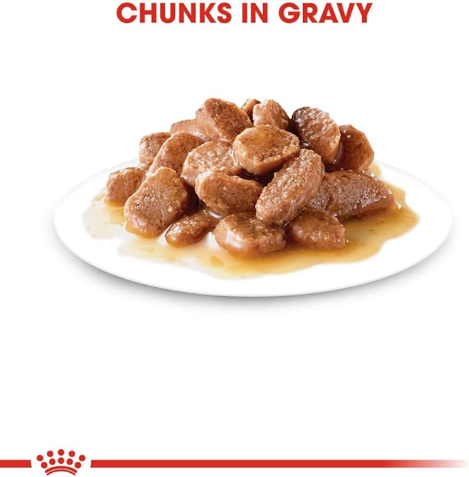 Royal Canin Feline Care Nutrition Hair & Skin in Gravy Adult Wet Cat Food BOX - 12X85G