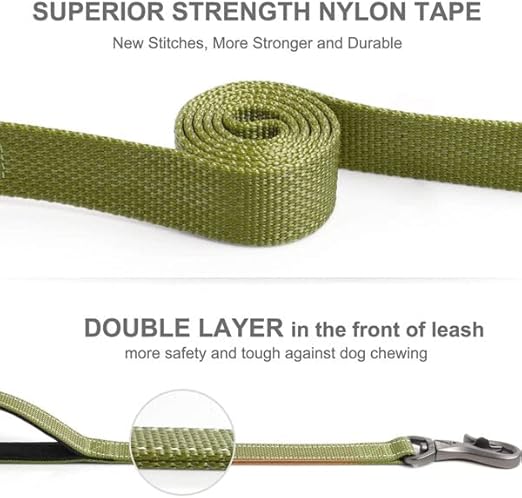 Fida Heavy Duty Dog Reflective Leash with Padded Handles, 6 Feet Length