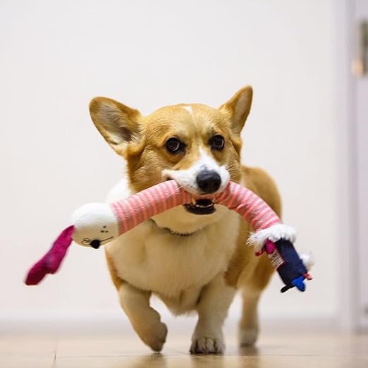 Gigwi Squeaker Crunchy Transforming Neck Dog Toy, Rabbit Pink,