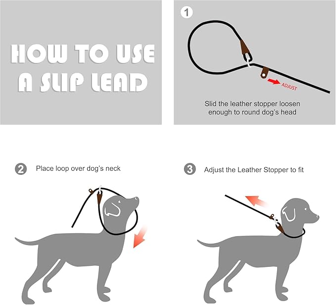 Fida Durable Slip Lead Dog Leash, Heavy Duty 1/2" x 6 Training Leash with Highly Reflective Threads Yellow