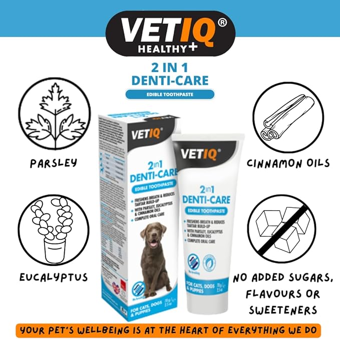 VetIQ 2in1 Denti-Care Edible Dog Toothpaste, 70g, Dog Cleaning Products Reduce Tartar Build-Up and Give Your Dog Fresh Breath, Puppy Toothpaste With No Artificial Ingredients, Fresh Dog Breath