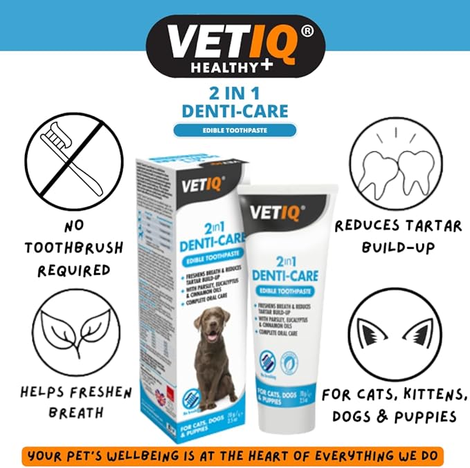 VetIQ 2in1 Denti-Care Edible Dog Toothpaste, 70g, Dog Cleaning Products Reduce Tartar Build-Up and Give Your Dog Fresh Breath, Puppy Toothpaste With No Artificial Ingredients, Fresh Dog Breath