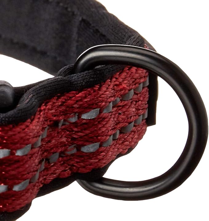 Alcott Adventure Essentials Collar, Small, Red