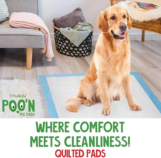 Nutrapet Poo N Pee Pads Grass scented- Fast Absorption With Floor Mat Stickers (60x60cms) - 50 Count