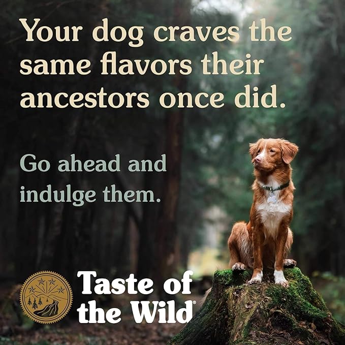 Taste of the Wild Grain Free Premium High Protein Dry Dog Food, High Prairie Puppy Recipe with Roasted Bison & Roasted Venison, 12.2 KG