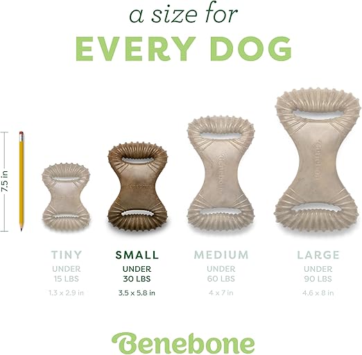 Benebone Dental Dog Chew Toy for Aggressive Chewers Bacon Flavor Small