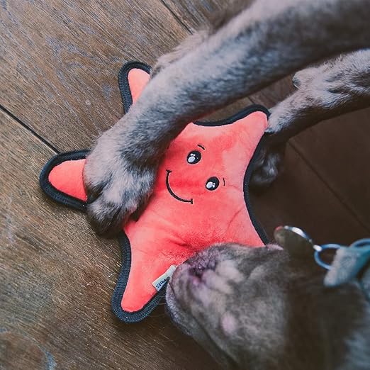 Beco Recycled Rough and Tough StarFish L-ORANGE
