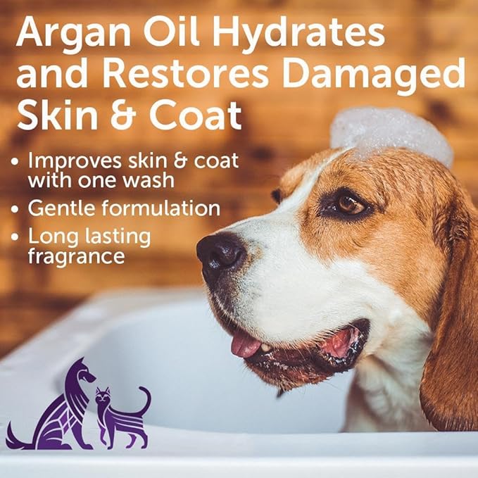 Nootie Soft Lilly Passion Restoring Argon Oil Pet Shampoo, 16 Oz Dog Shampoo & Cat Shampoo Pet Grooming