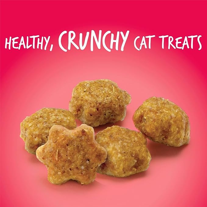 Fruitables Salmon Flavour With Cranberry Cat Treats - 70G