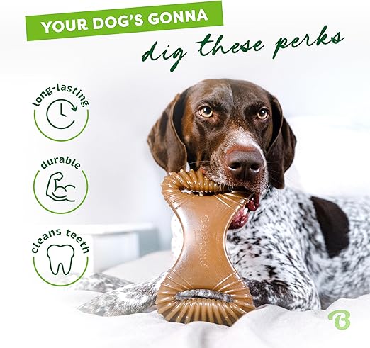 Benebone Dental Durable Dog Chew Toy For Aggressive Chewers, Real Bacon, Made In Usa, Medium