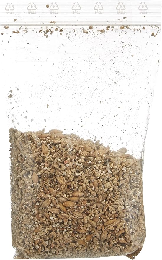 Trixie Cat Grass in Ceramic Bowl for Cats 50g