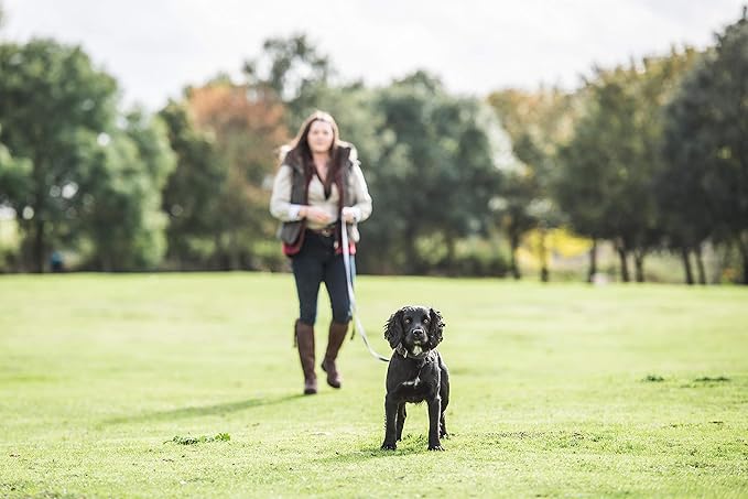 Mikki - WalkRite - Recall Training Lead for Dogs (6.10m)