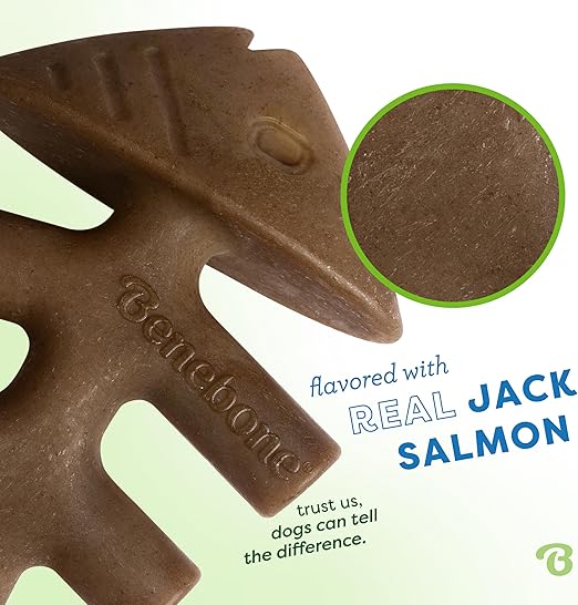 Benebone Dental Chew Fishbone Jack Salmon (Tiny) - 2 Pack, Dog Chew Toy