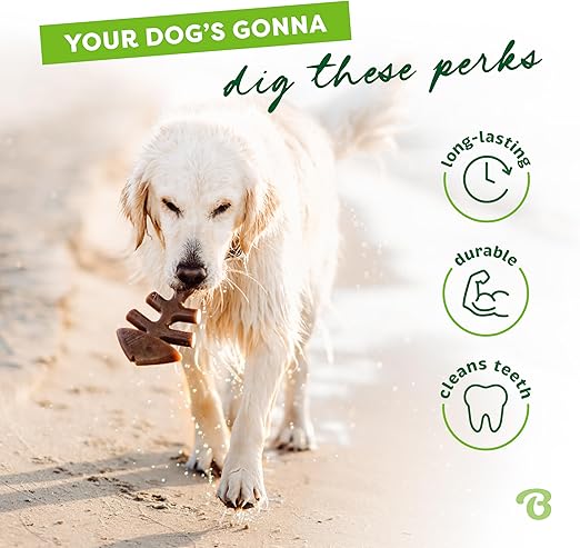 Benebone Dental Chew Fishbone Jack Salmon (Tiny) - 2 Pack, Dog Chew Toy