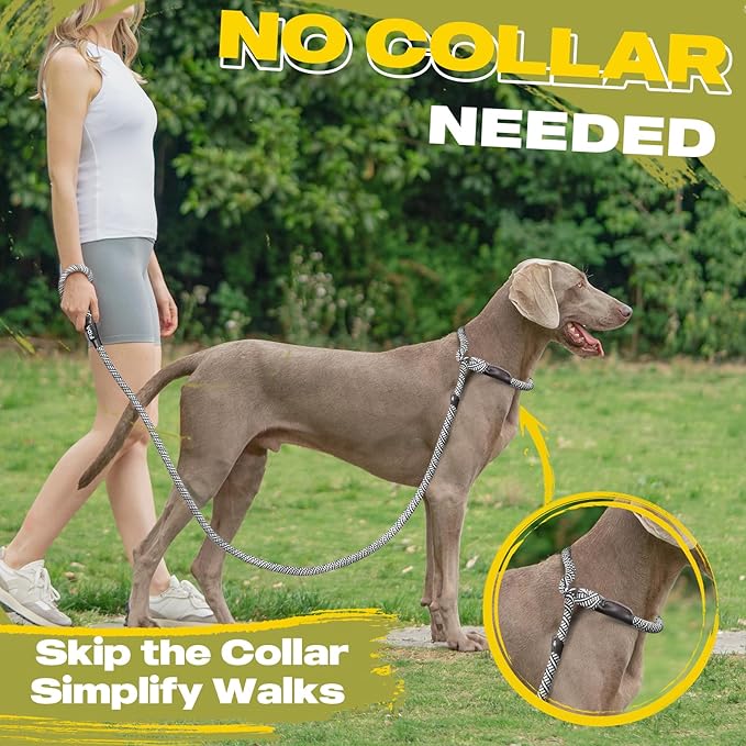 Fida Durable Slip Lead Dog Leash / Training Leash(6ft length, 1/2″ thick Rope)grey