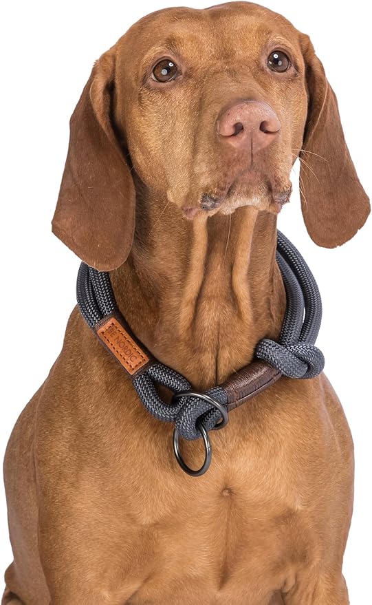 Trixie BE NORDIC Grey Choke Collar for Dogs L-XL