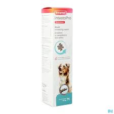 Intestopro Anti-Diarrhea Paste Syringe for Large Dogs – 2 × 20 ml