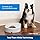 Pet Safe 5 Meal Pet Feeder