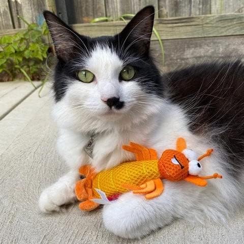 Toy Dental Mesh Shrimp Orange