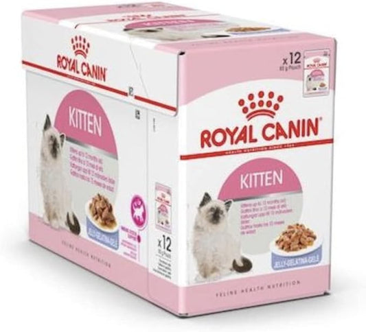ROYAL CANIN FELINE HEALTH NUTRITION KITTEN JELLY CAT WET FOOD