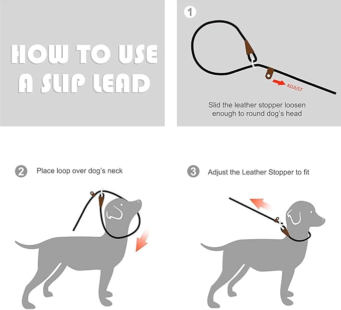 Fida Durable Slip Lead Dog Leash, Heavy Duty 1/2" x 6 Training Leash with Highly Reflective Threads Blue