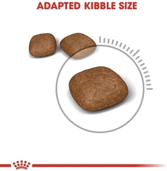 Royal Canin FCN Urinary Care 2 kg Feline Breed Nutrition Cat Food