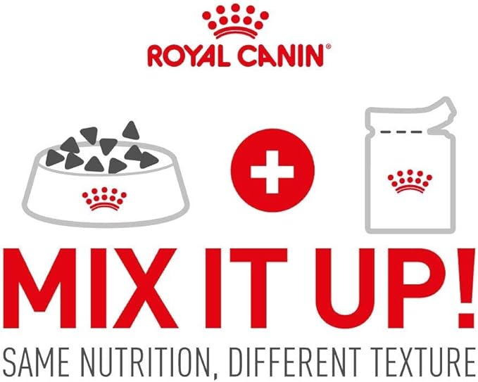 Royal Canin SHN Mini Adult Wet Food Pouches Box of 12x85g Size Health Nutrition Dog Food