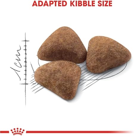ROYALCANIN FELINE HEALTH NUTRITION INDOOR 2 KG