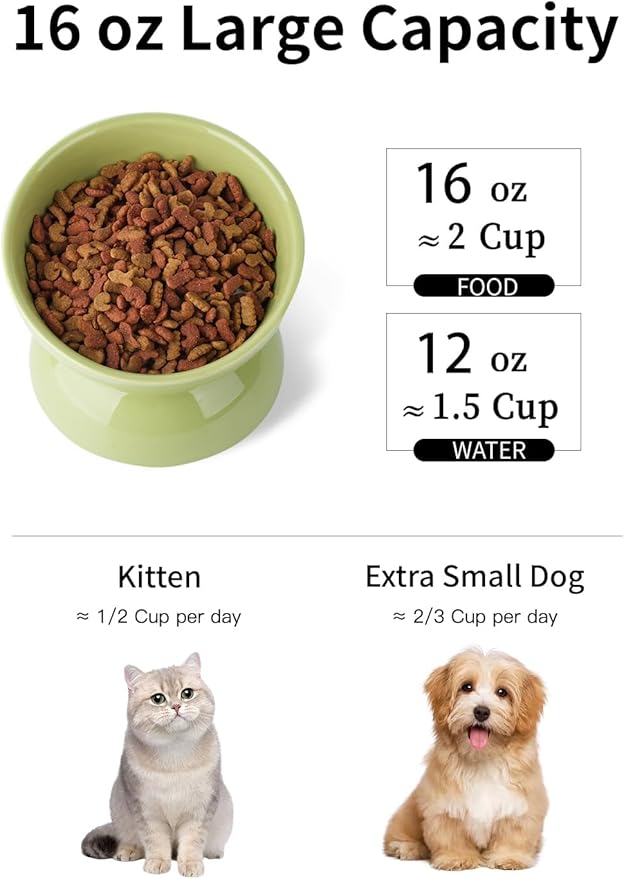 Ceramic Whiskers Cat Bowl - Green
