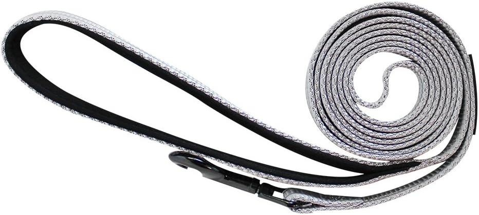 Alcott Adventure Lead Grey Small