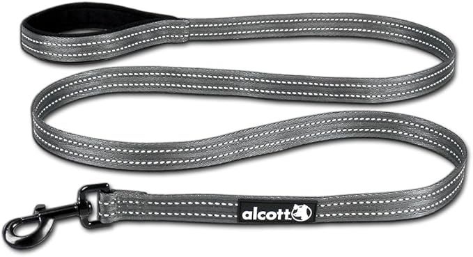 Alcott Adventure Lead Grey Large