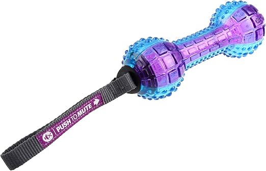 GiGwi Dog Toy Dumbell ‘Push To Mute’ Transparent – Purple/Blue