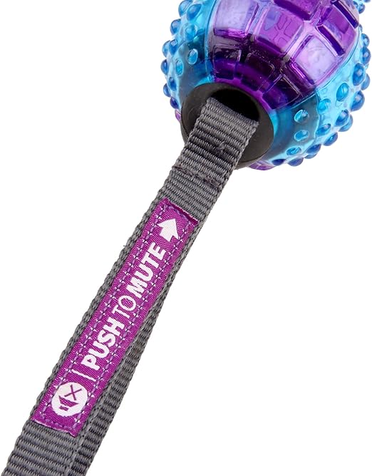 GiGwi Dog Toy Dumbell ‘Push To Mute’ Transparent – Purple/Blue