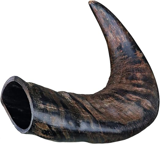 Trixie Natural Buffalo Chewing Horn Dental Dog Treats - MEDIUM