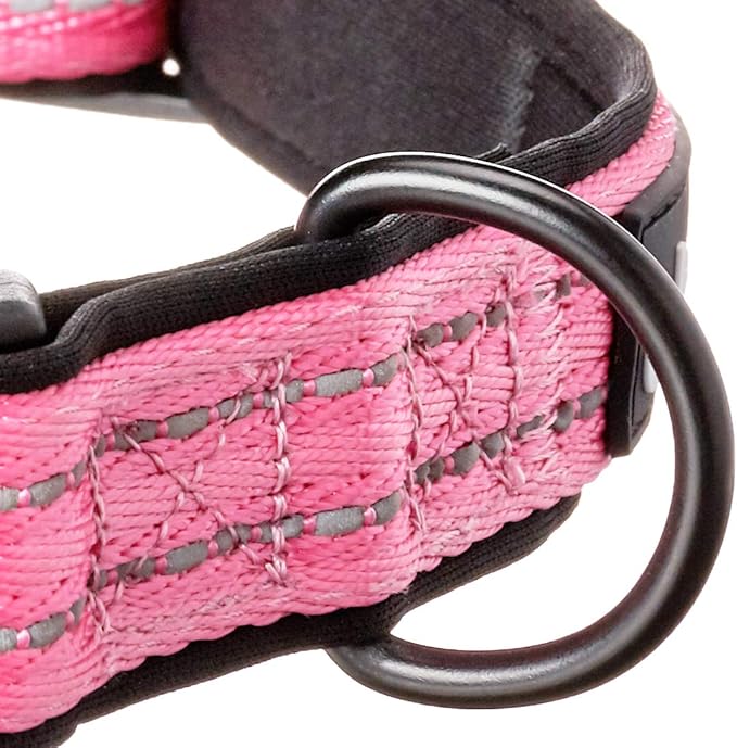 Alcott Adventure Dog Collar With Reflective Stitching & Neoprene Padding, Large, Pink