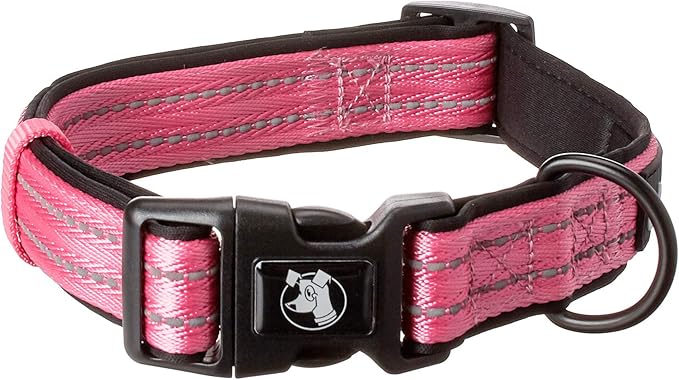 Alcott Adventure Dog Collar With Reflective Stitching & Neoprene Padding, Large, Pink