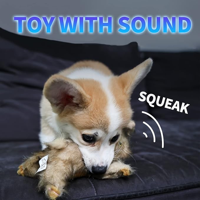 ALL FOR PAWS Pet Plush Rabbit Toys with Squeaker, Durable Soft Dog Chew Squeaky Toys, 6 inches