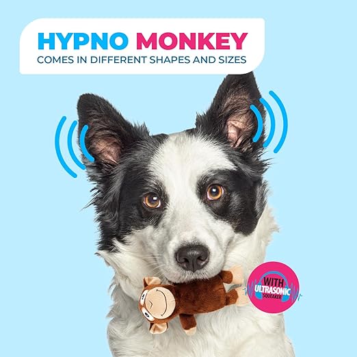 All For Paws Ultrasonic Hypno Monkey Dog Toy