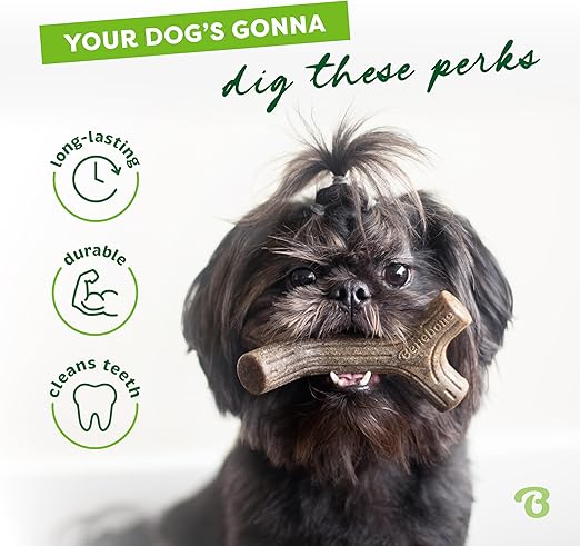 Benebone Maplestick Dog Chew Toy for Aggressive Chewer with Real Maplewood Large