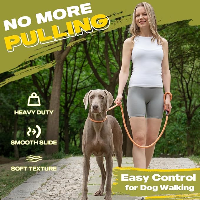 Fida Durable Slip Loop Lead for Large, Medium Dogs, 6 FT x 1/2" Heavy Duty, Comfortable Strong Rope, No Pull Pet Training Leash with Highly Reflective, Orange