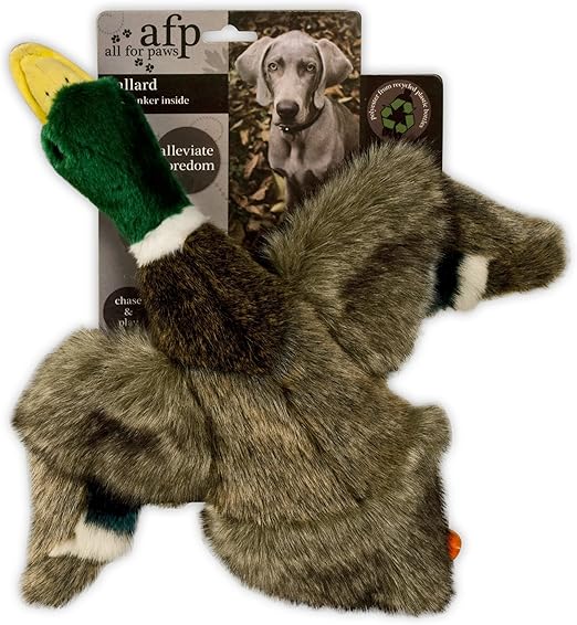 All For Paws Classic - Mallard Small
