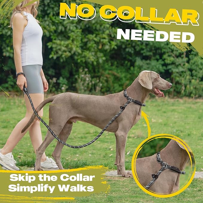 Fida Durable Slip Lead Dog Leash / Training Leash(6ft length, 1/2″ thick Rope)grey (Copy)