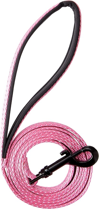 Alcott Adventure Dog Leash With Reflective Stitching & Neoprene Padded Handle, Medium, Pink