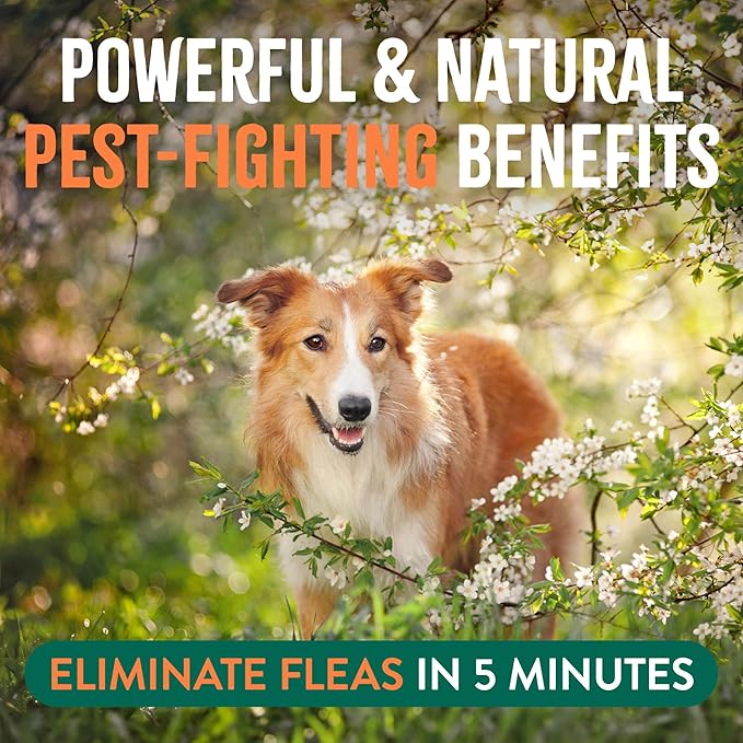 Tropiclean Flea & Tick 32z Home Spray