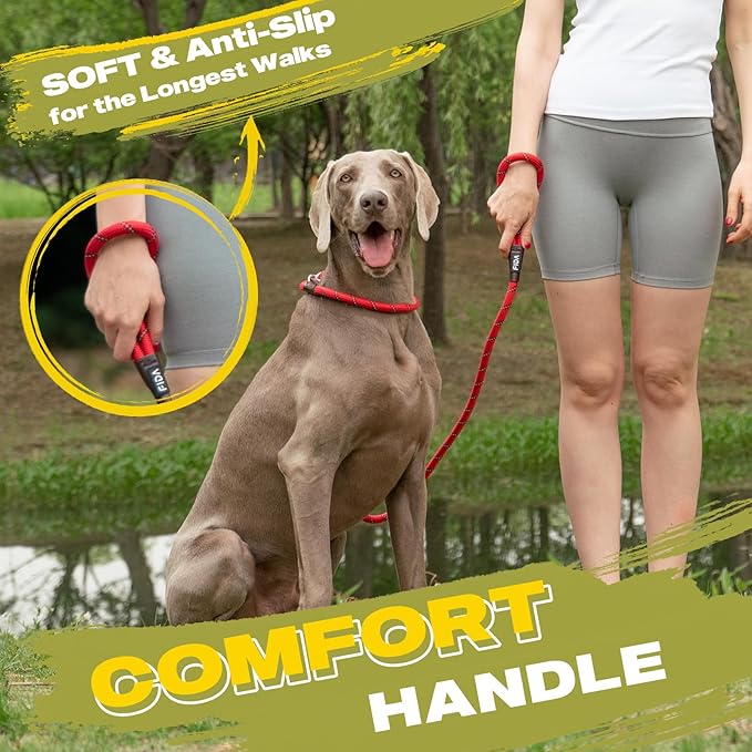 Fida Durable Slip Lead, 6 FT x 1/2" Heavy Duty, Comfortable Strong Rope for Large, Medium Dogs, No Pull Pet Training Loop Leash with Highly Reflective, Red