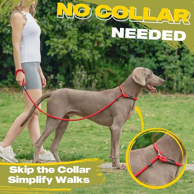 Fida Durable Slip Lead, 6 FT x 1/2" Heavy Duty, Comfortable Strong Rope for Large, Medium Dogs, No Pull Pet Training Loop Leash with Highly Reflective, Red