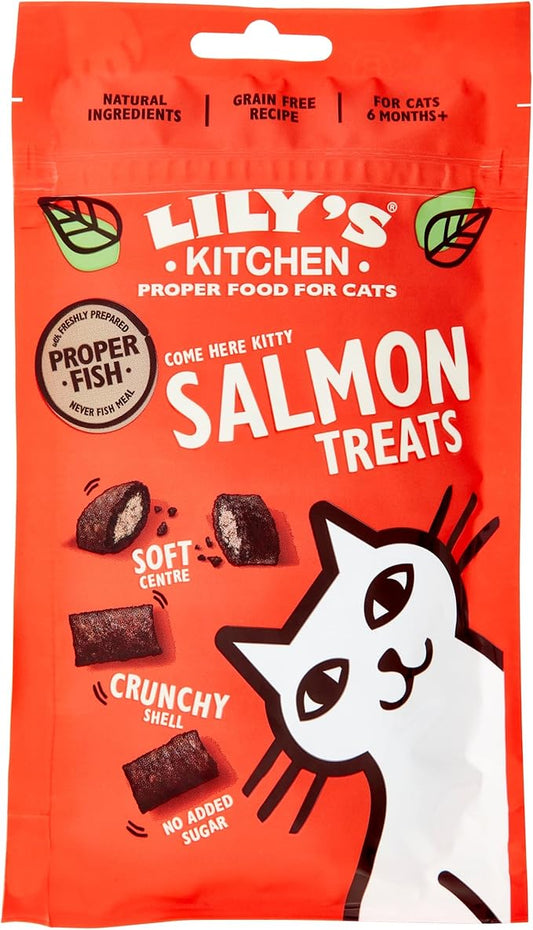 Lily's Kitchen Salmon Pillow Treats - 60G