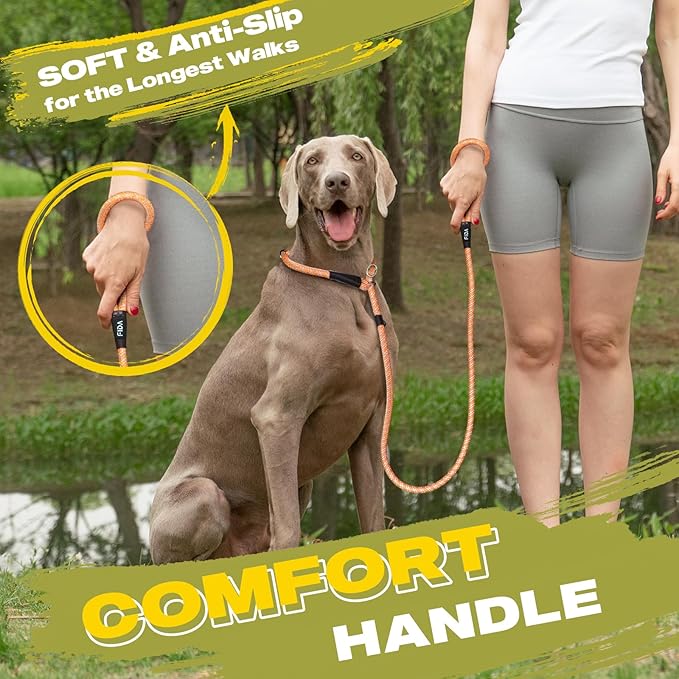 Fida Durable Slip Loop Lead for Large, Medium Dogs, 6 FT x 1/2" Heavy Duty, Comfortable Strong Rope, No Pull Pet Training Leash with Highly Reflective, Orange